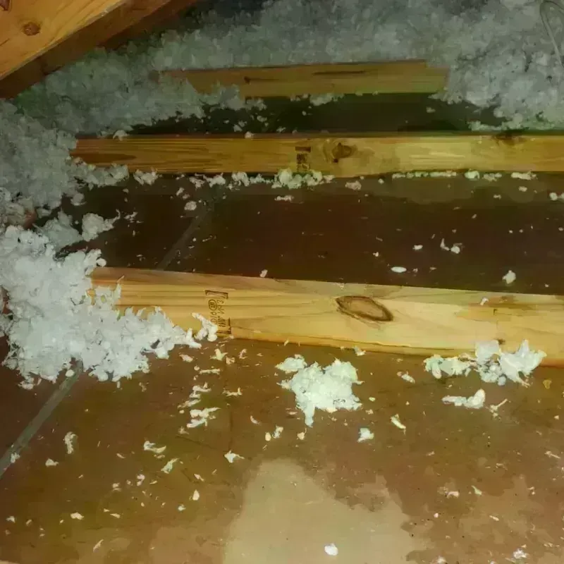 Attic Water Damage in Bedford, NH