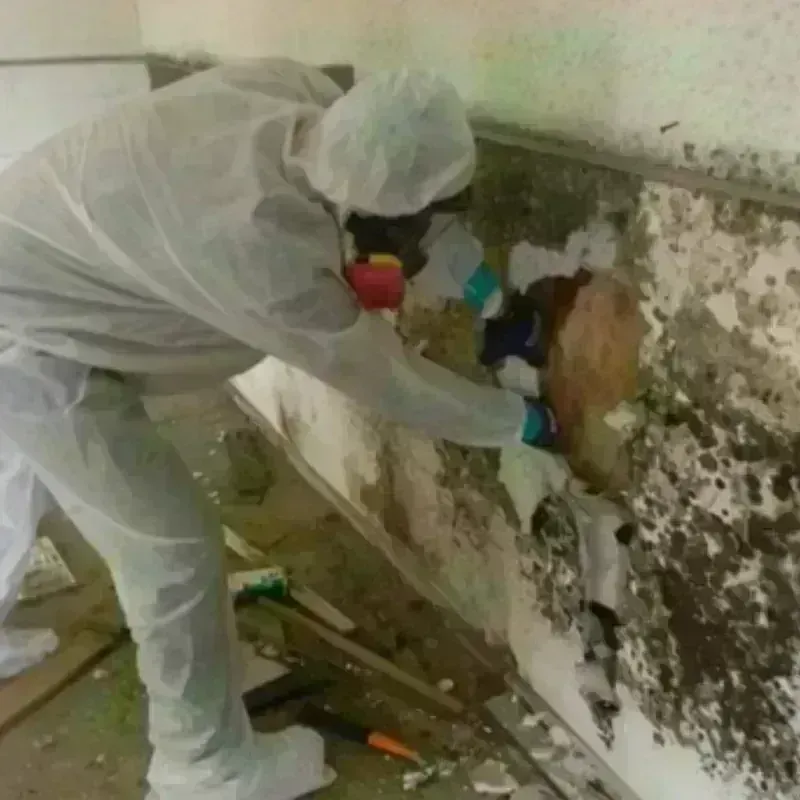 Mold Remediation and Removal in Bedford, NH